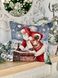 Наволочка новорічна одностороння "Візит Санти" з мікрофіброю в інтернет-магазині РечіДоРечі