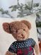 Наволочка новорічна одностороння "Тедді" в інтернет-магазині РечіДоРечі
