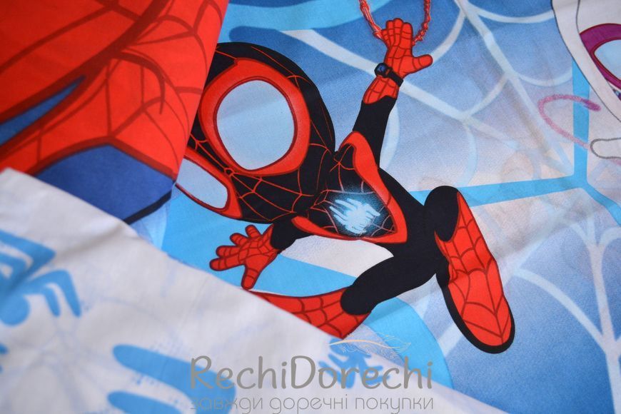 Постельное белье Spidey And Friends RechiDoRechi 40078 фото
